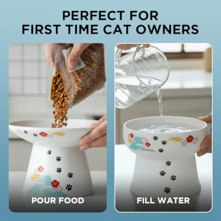 Raised Cat Food And Water Bowl Ceramic Elevated Design