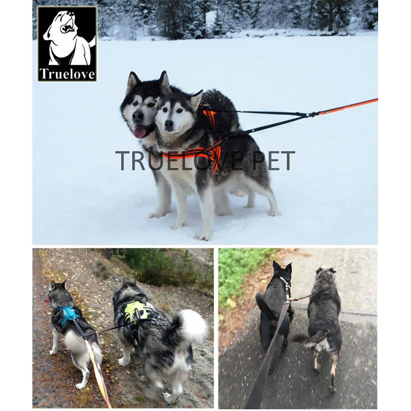 TrueLove Nylon Double Dog Leash No Tangle Padded Pet Coupler