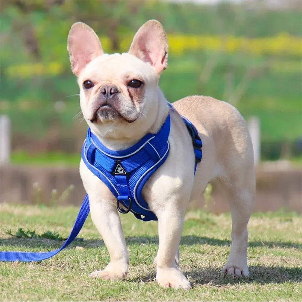 No Pull Dog Harness And Leash Reflective Vest All Weather