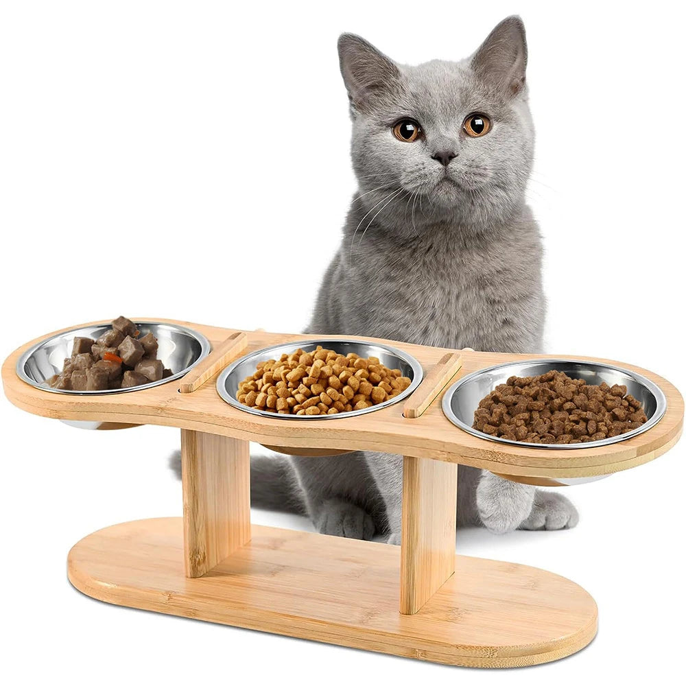PETRAVEL Cat 3 In 1 Feeder With Tilted Stainless Bowls