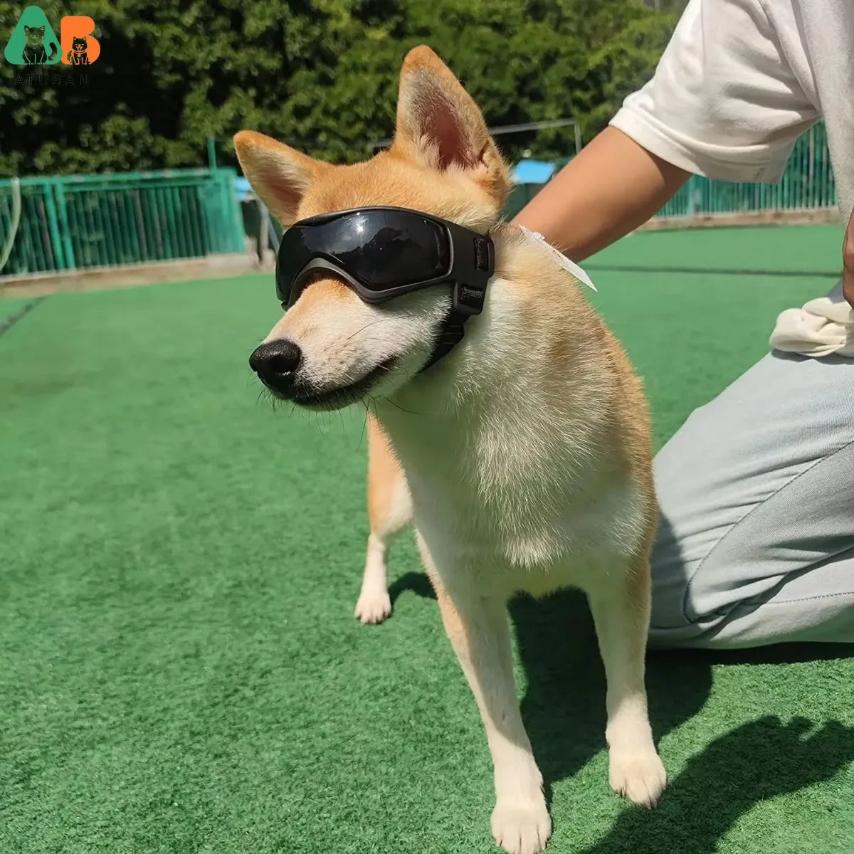 ATUBAN Dog Goggles Small Breed UV Protection Eyewear