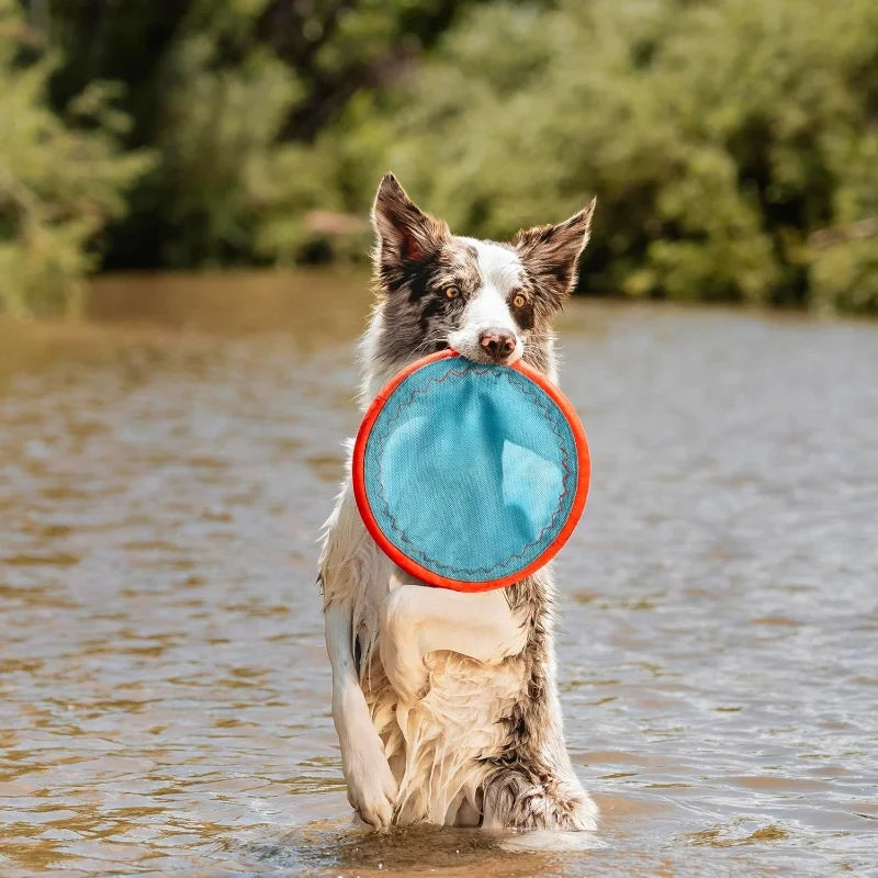 Paraflight Flying Disc Dog Toy Water Floating Nylon Edges