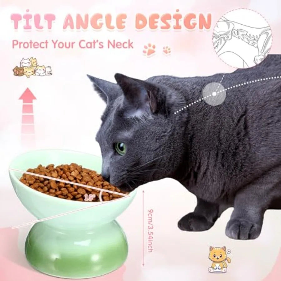 Elevated Tilt Cat Food Bowls For Anti Vomiting Protection