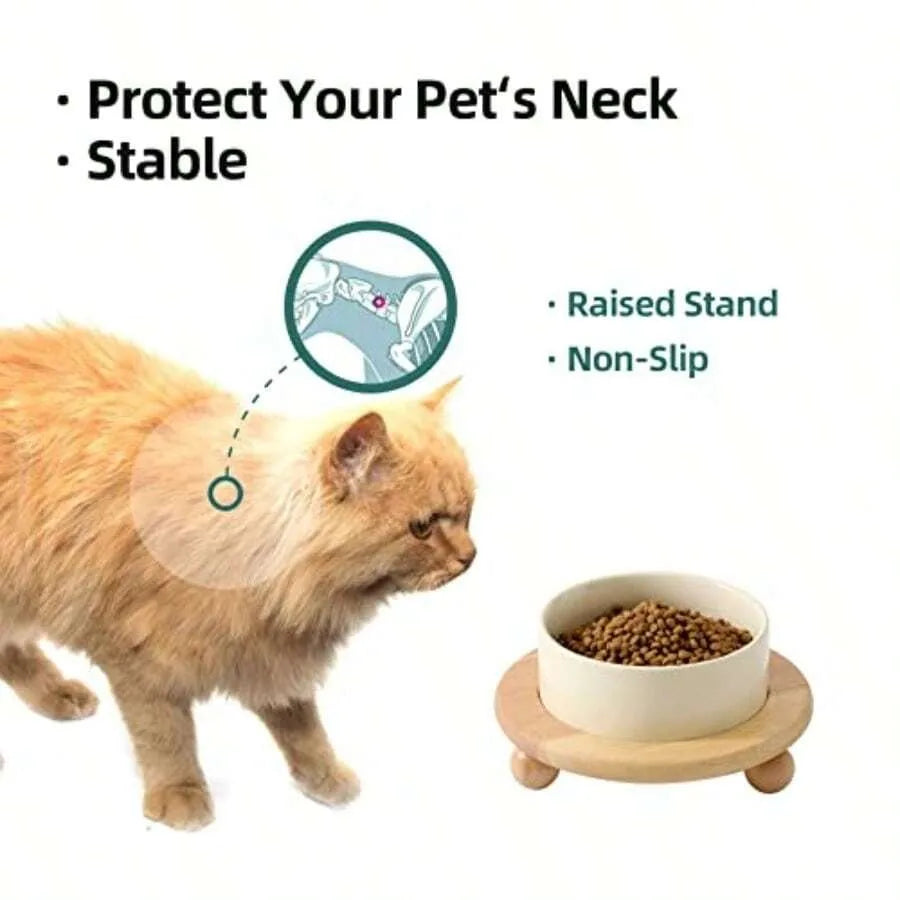 Elevated Cat Bowl With Wooden Stand Stainless Steel Non Slip
