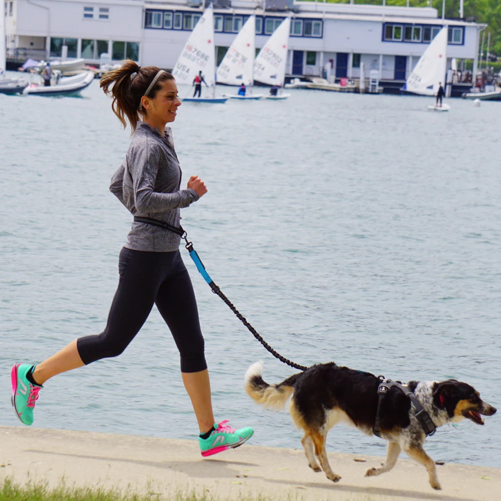 Adjustable Hands Free Dog Leash Waist Belt Chest Strap