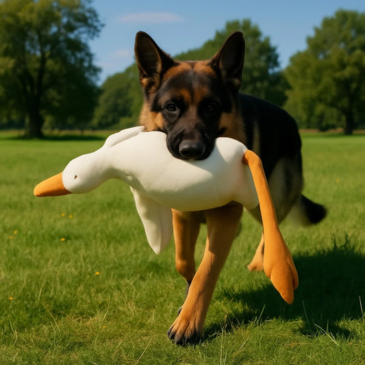 Plush Duck Dog Toy Goose Design For Longlasting Play