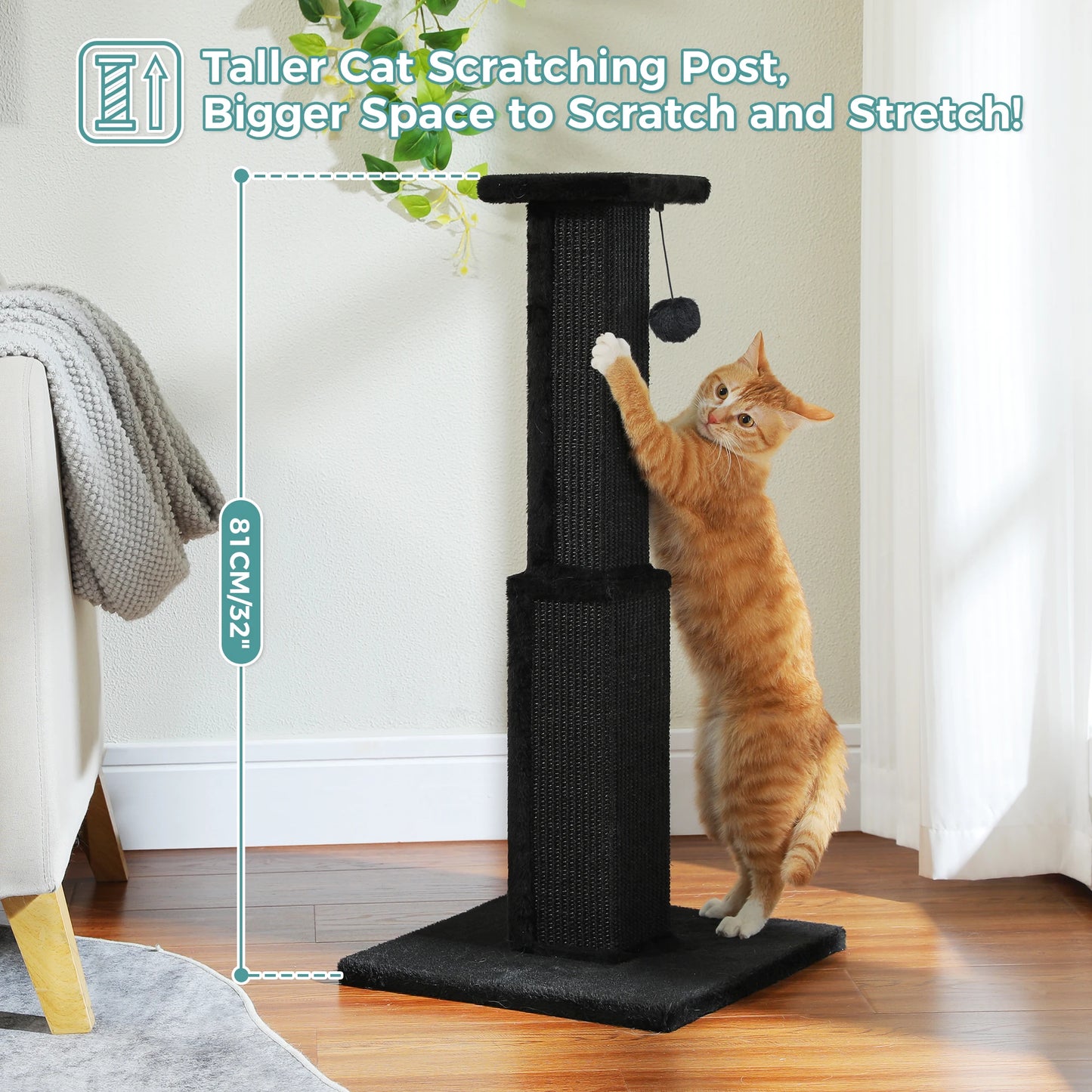PAWZ Road Cat Scratching Post For Indoor Cats Ultimate