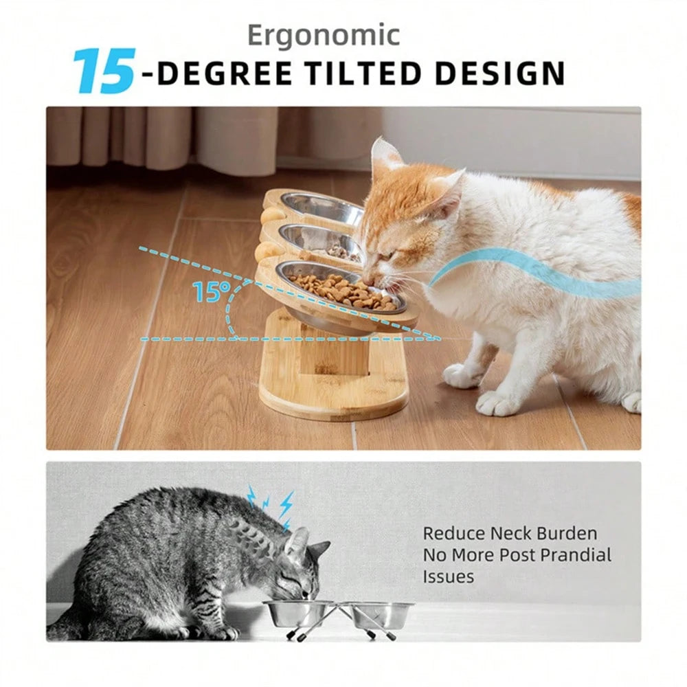 PETRAVEL Cat 3 In 1 Feeder With Tilted Stainless Bowls