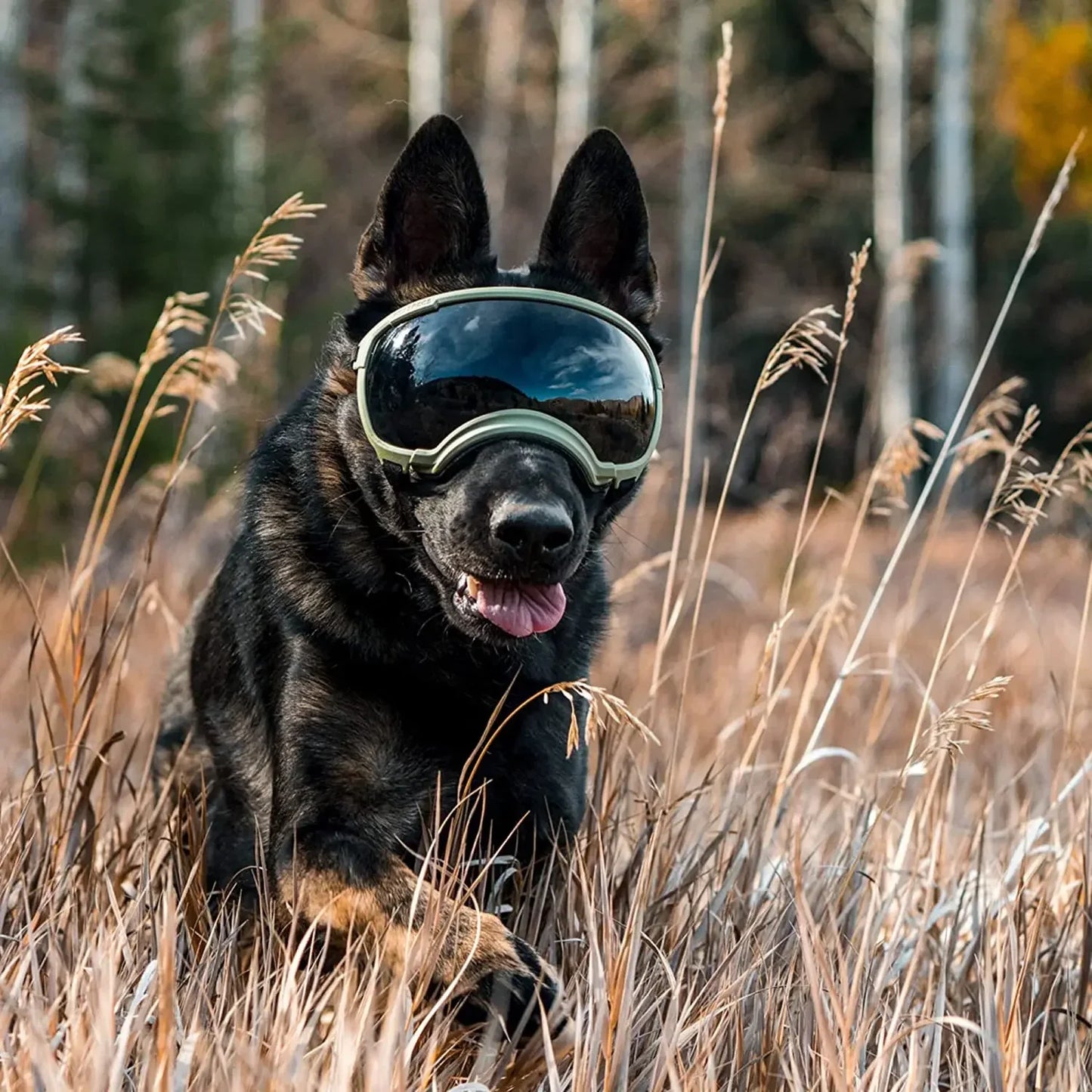 ATUBAN Dog Goggles Anti UV High Impact Adjustable Breathable