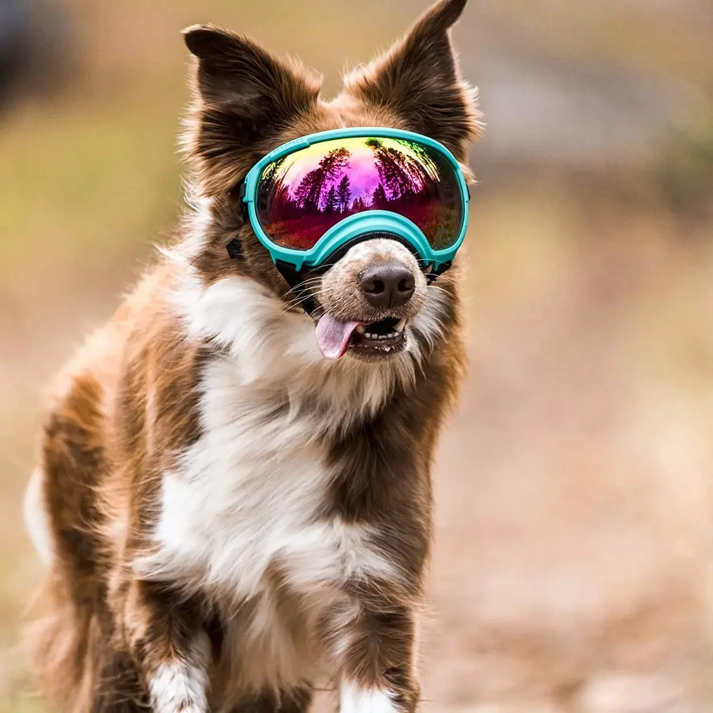 ATUBAN Dog Goggles Anti UV High Impact Adjustable Breathable