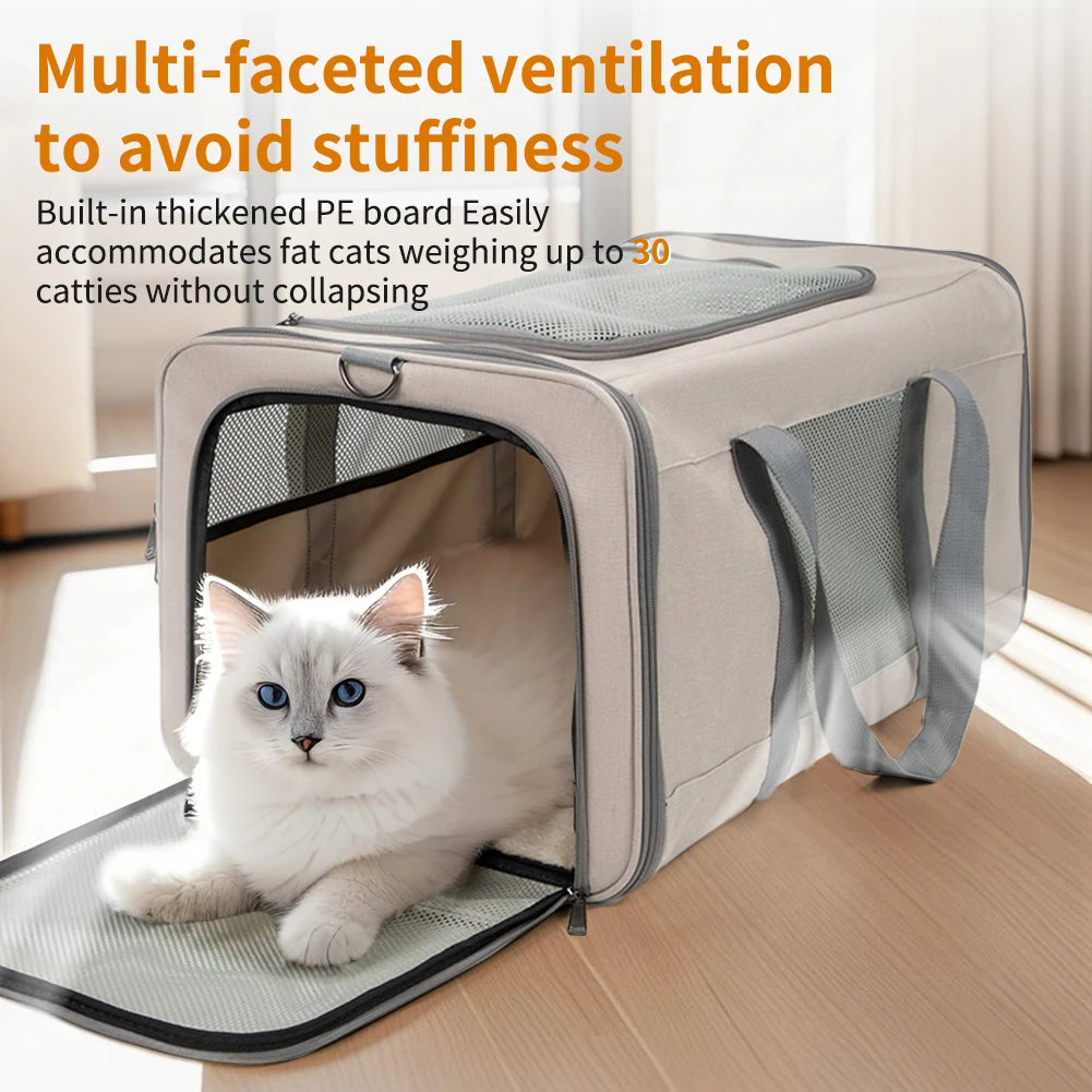 Cat Trolley for Two Cats With Wheels and Safety Belts