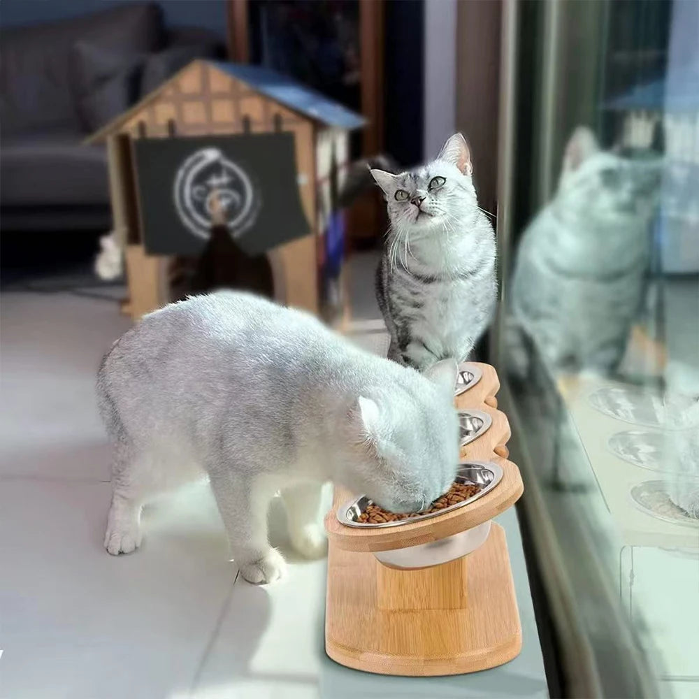 PETRAVEL Cat 3 In 1 Feeder With Tilted Stainless Bowls