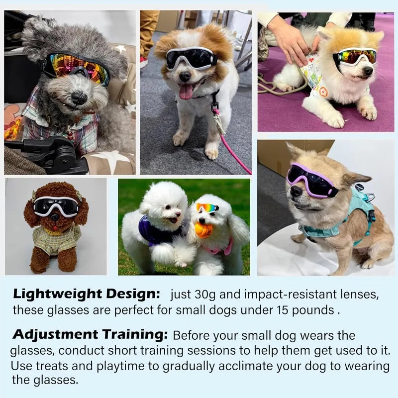 Pet Dog Sunglasses UV Resistant Windproof Goggles Outdoor Use