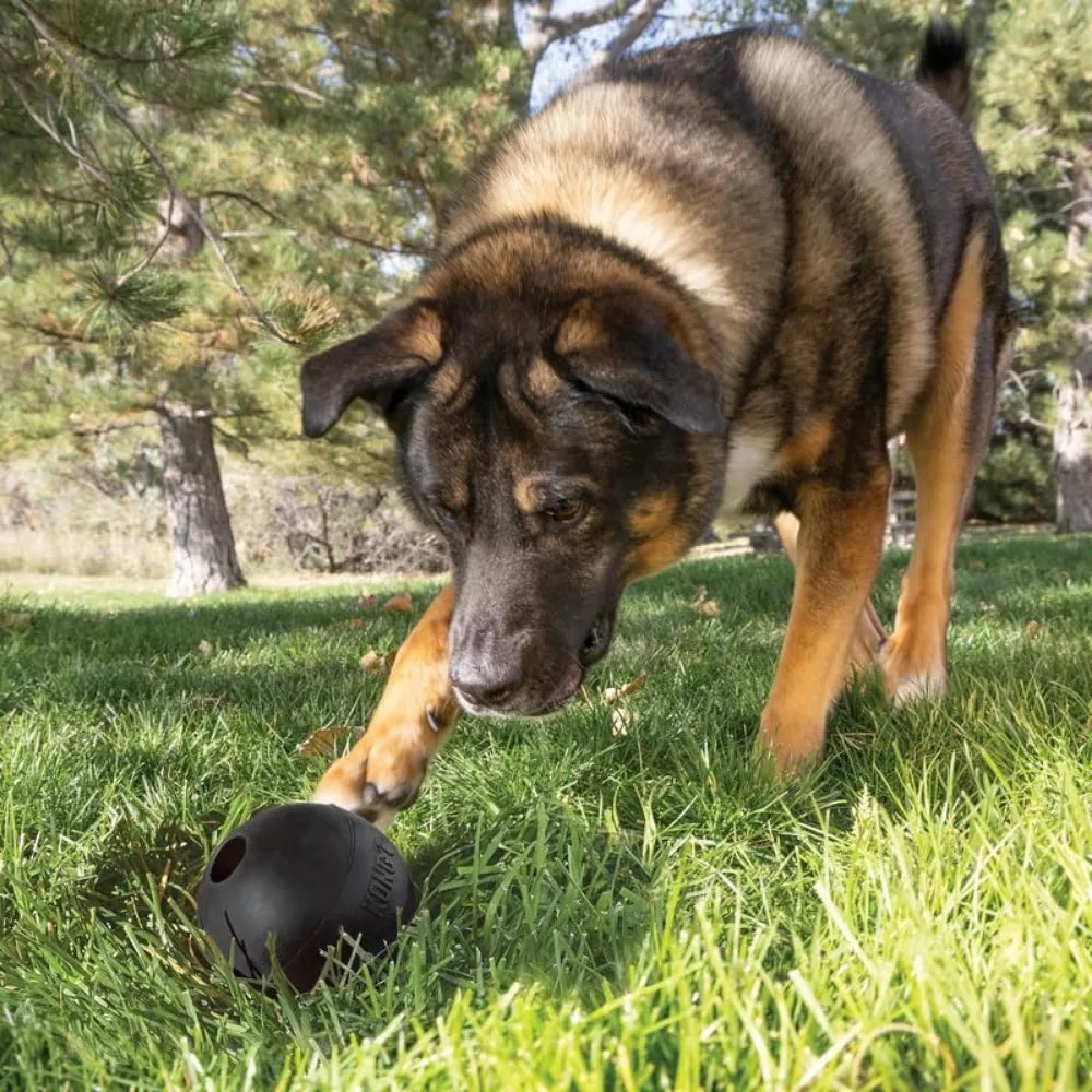 Extreme Ball 2 Pack Durable Rubber Dog Toy For Chewers