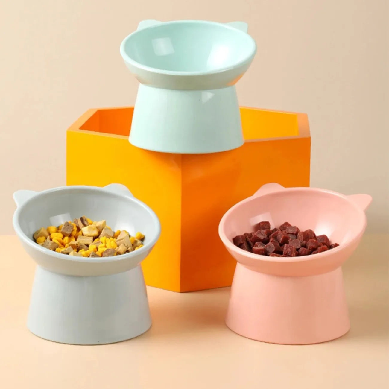 Diamri Tilted Elevated Cat Food Bowl Ergonomic Anti Vomit