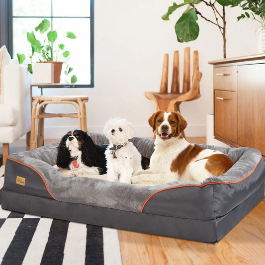 BINGOPAWCN Orthopedic Foam Dog Bed With Cotton Padded Bolster