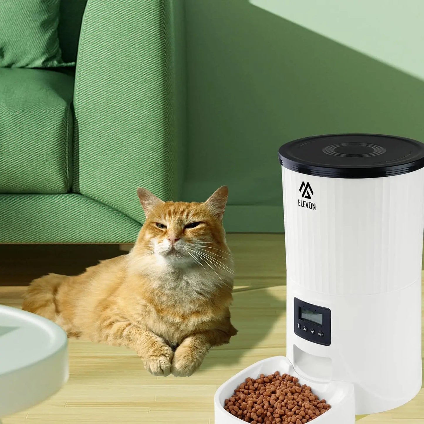 Automatic Pet Feeder With Voice Recorder For Dogs And Cats