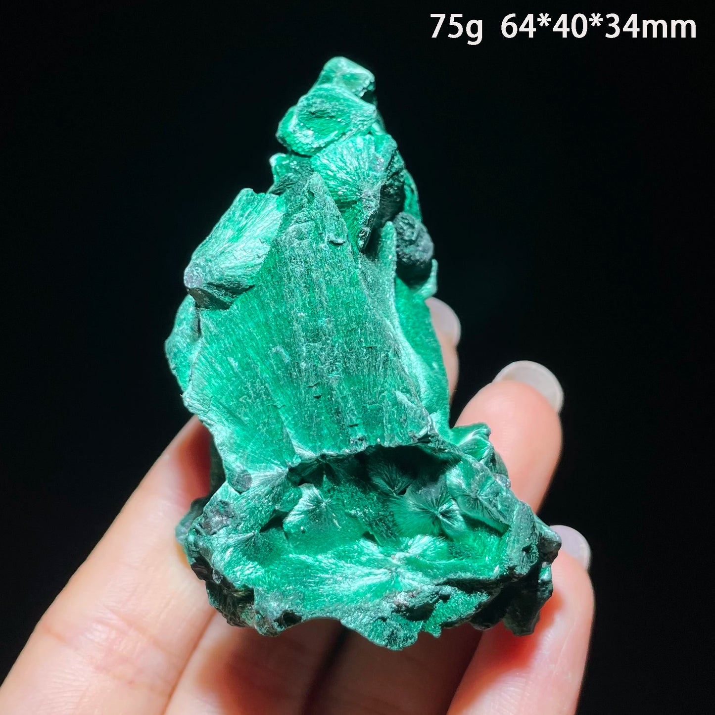 Malachite Stone Mineral Specimen Collector Grade Display Ornament