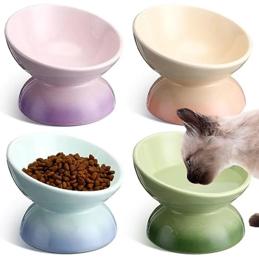 Elevated Tilt Cat Food Bowls For Anti Vomiting Protection