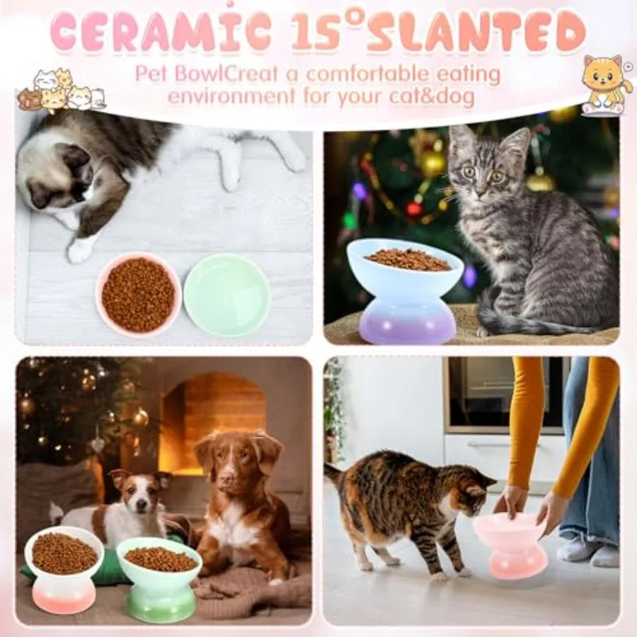 Elevated Tilt Cat Food Bowls For Anti Vomiting Protection