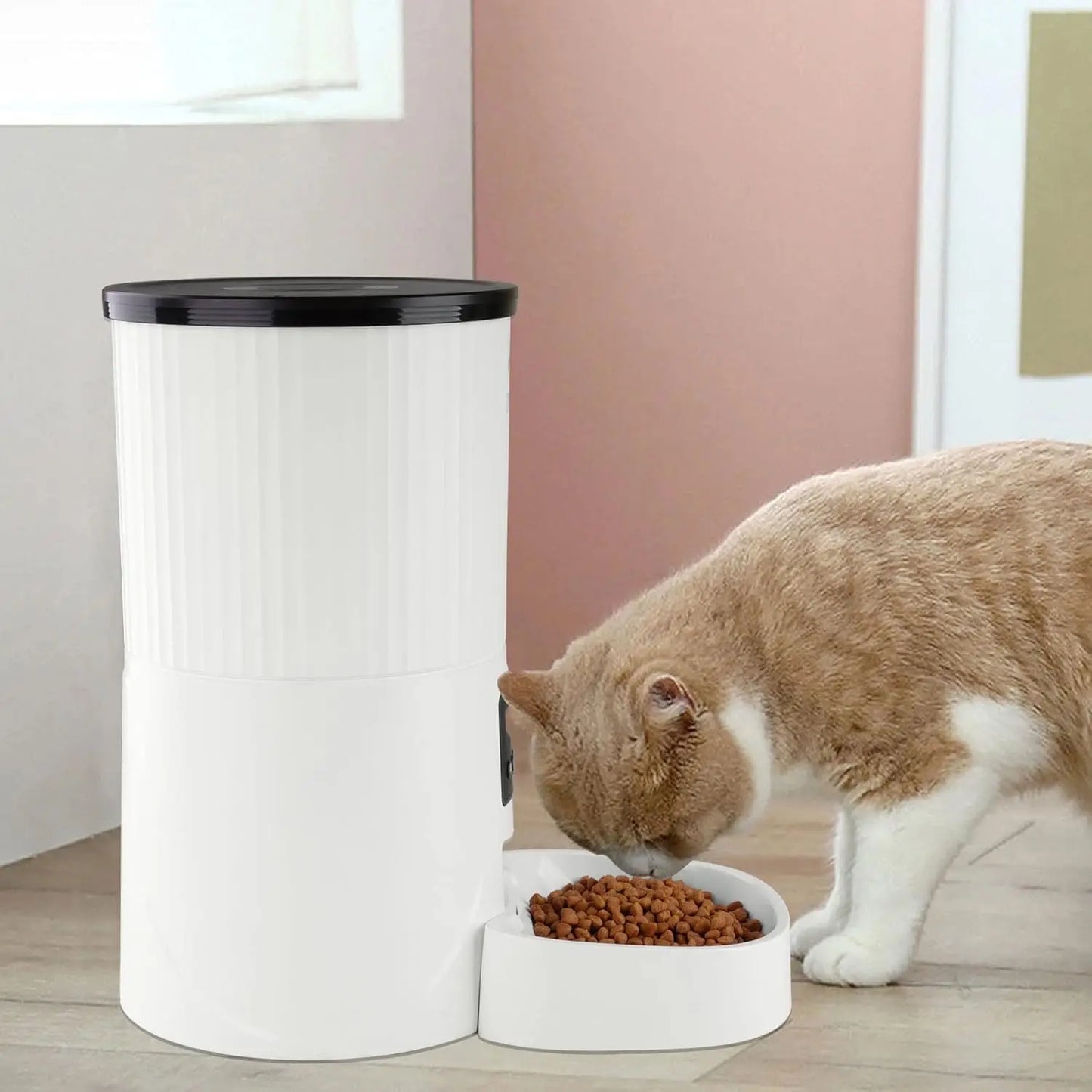 Automatic Pet Feeder With Voice Recorder For Dogs And Cats