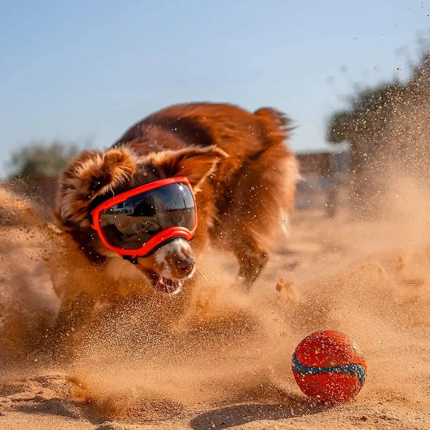 ATUBAN Dog Goggles Anti UV High Impact Adjustable Breathable