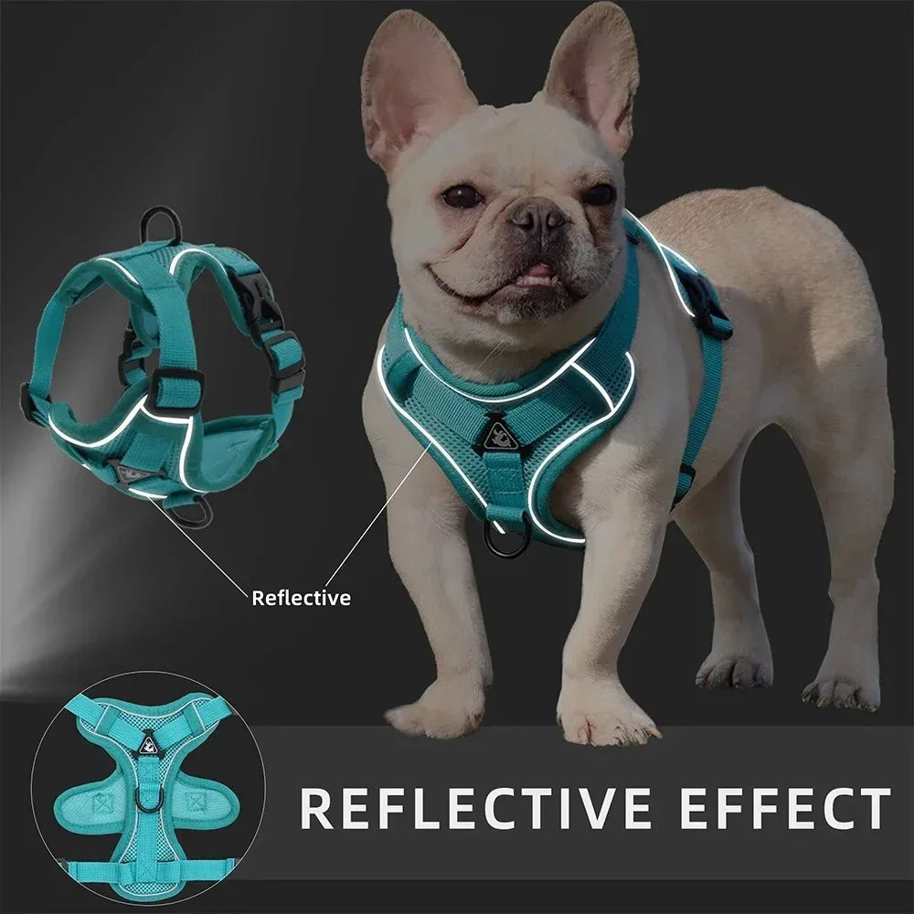 No Pull Dog Harness And Leash Reflective Vest All Weather